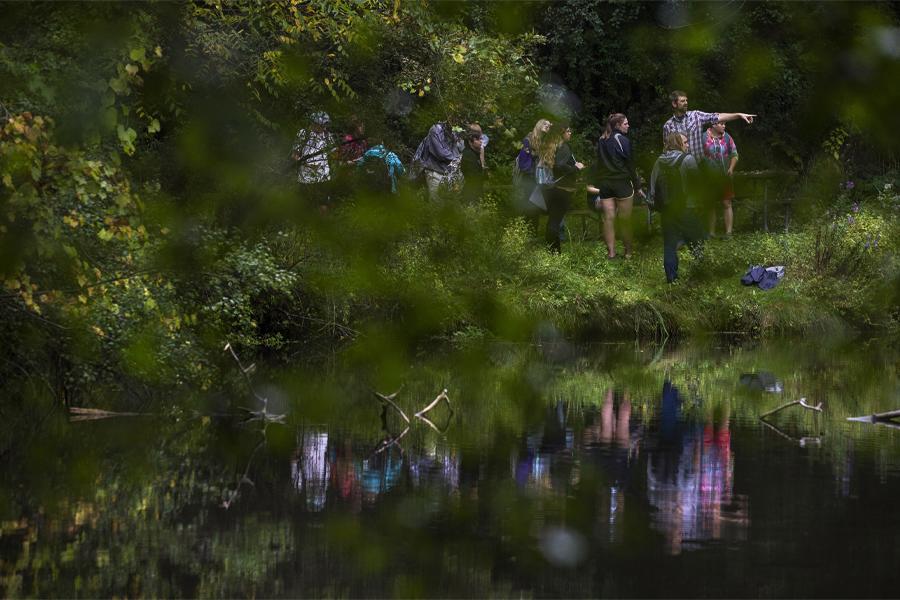 Students and a faculty member explore a wooded area with a small body of water.